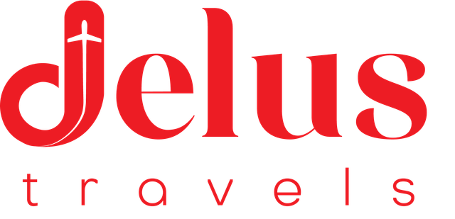 Delus Travels